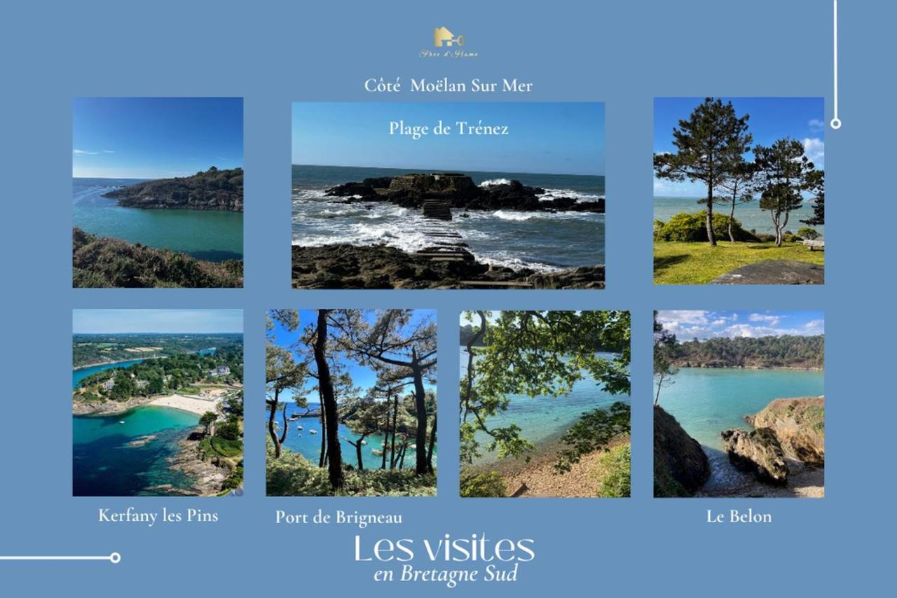 Le Tiguidou, Cosy, Lumineux, 2-6 Pers, Plage 300M Moelan-sur-Mer Exterior foto
