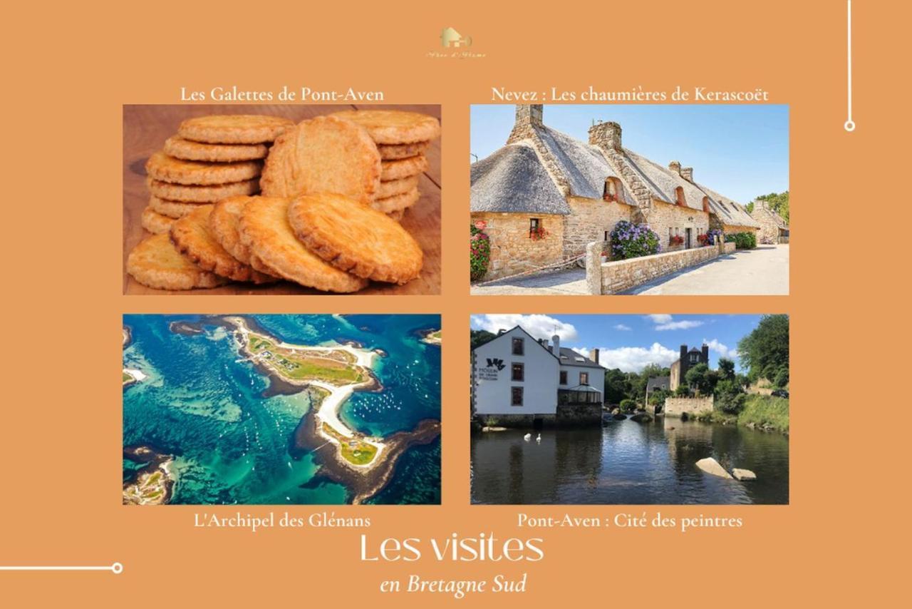 Le Tiguidou, Cosy, Lumineux, 2-6 Pers, Plage 300M Moelan-sur-Mer Exterior foto